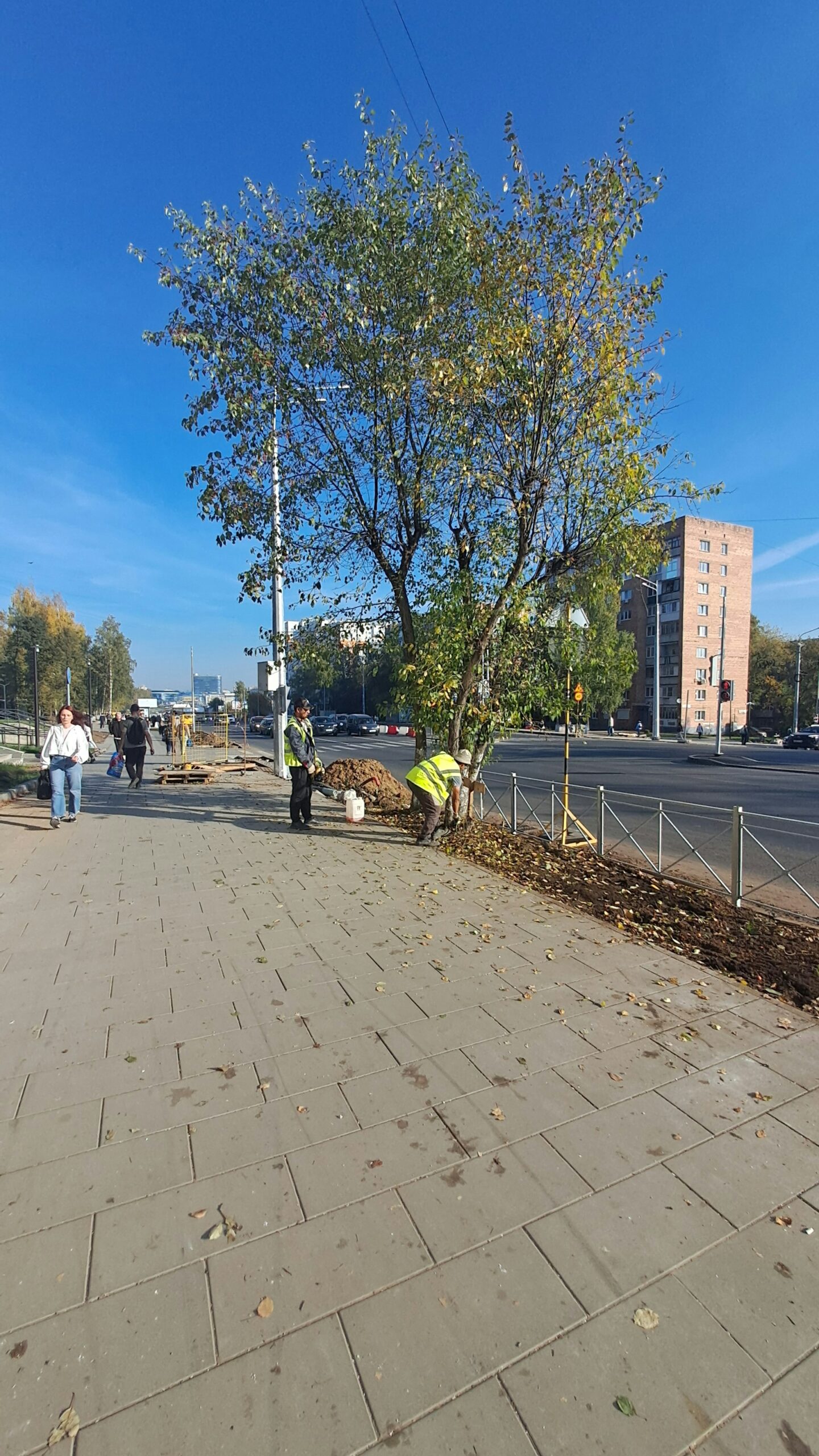Arbeiter an einer Baumpflanzung am Straßenrand