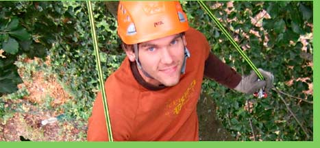 Arborist Oliver Speck